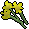 Yellow flowers.png